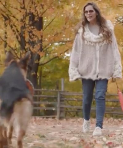 Refresher dog training