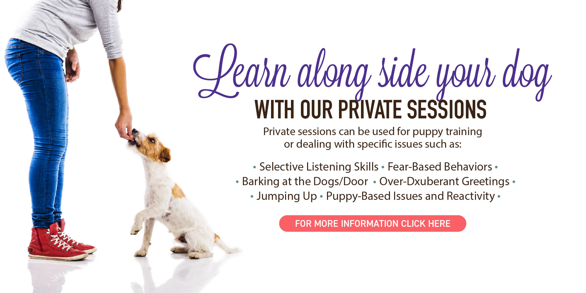 Private Lessons for your dog